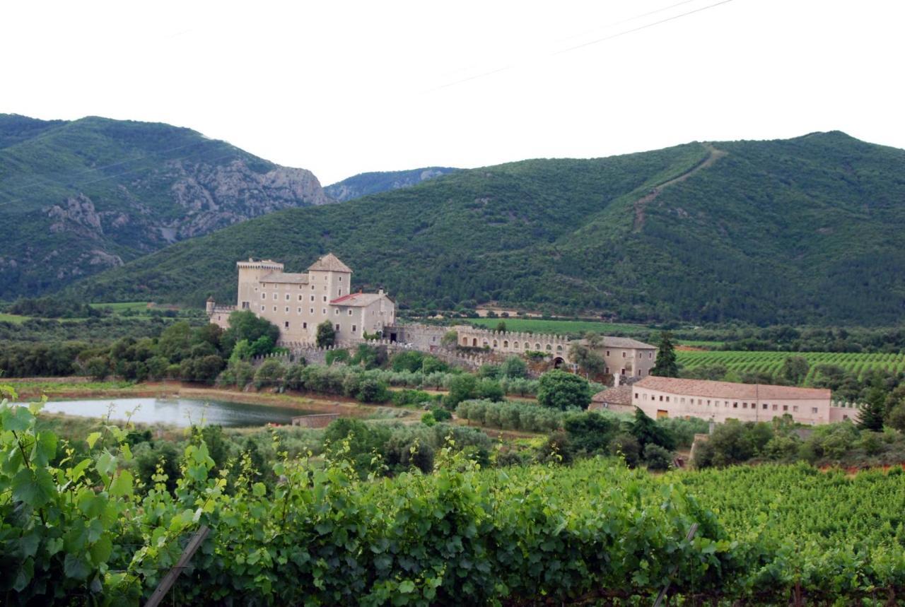 Vimbodi I PobletCastell De Riudabellaアパートメント エクステリア 写真