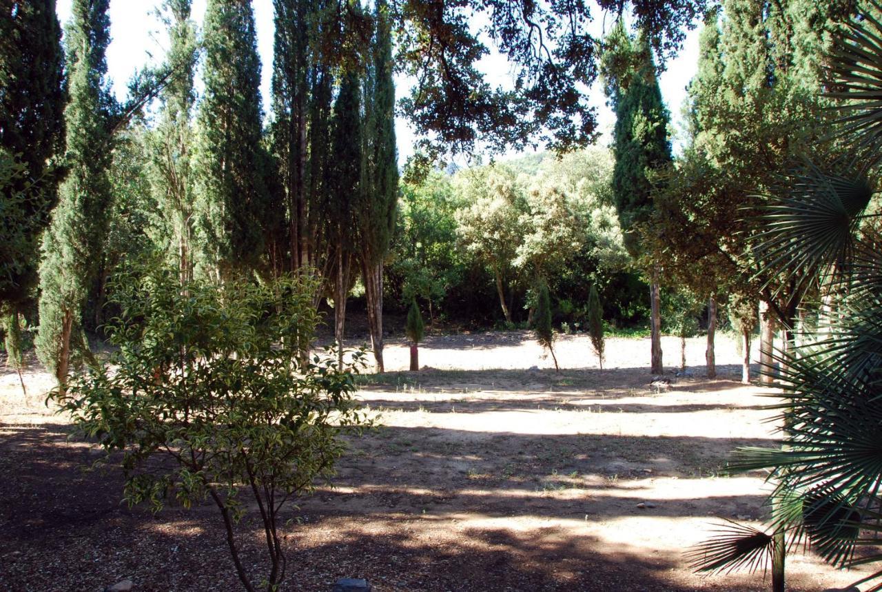 Vimbodi I PobletCastell De Riudabellaアパートメント エクステリア 写真