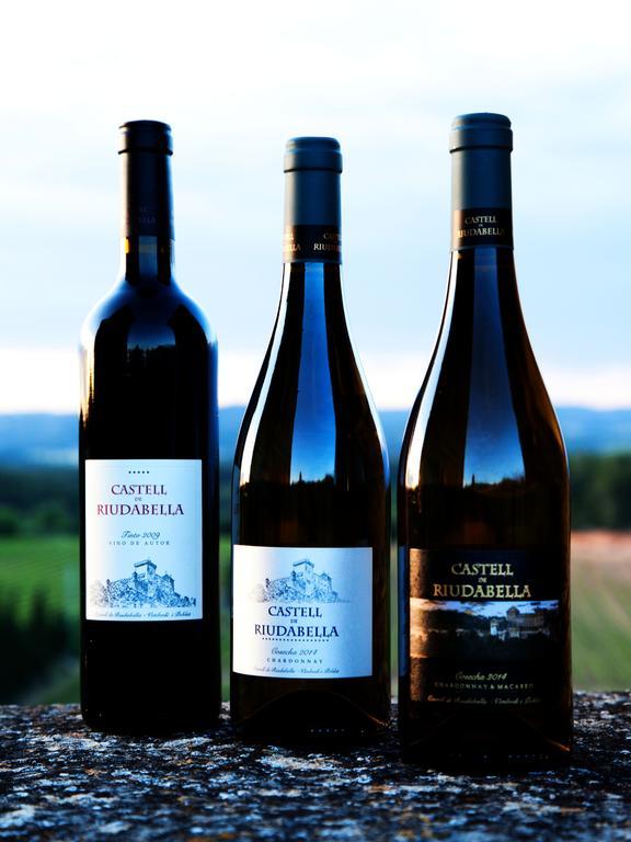 Vimbodi I PobletCastell De Riudabellaアパートメント エクステリア 写真