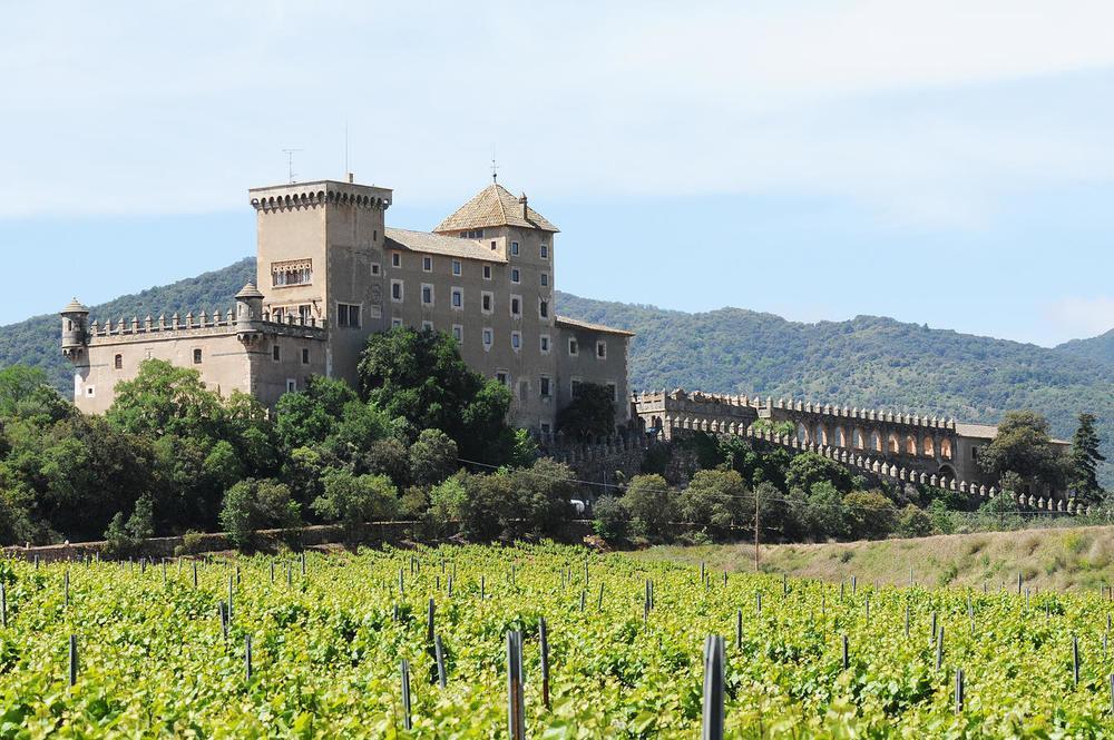 Vimbodi I PobletCastell De Riudabellaアパートメント エクステリア 写真