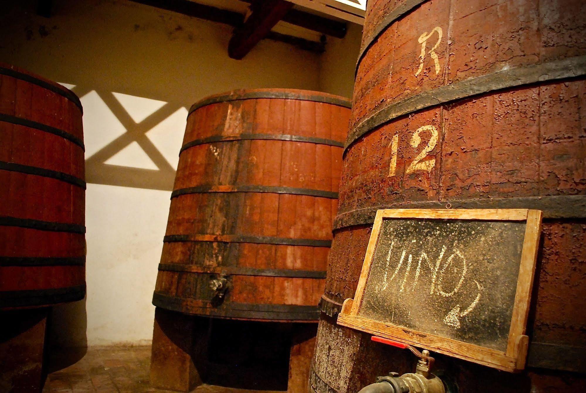 Vimbodi I PobletCastell De Riudabellaアパートメント エクステリア 写真